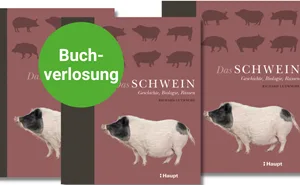 Dieses Fachbuch rund um das Schwein gibt es bei «der grünen» zu gewinnen.