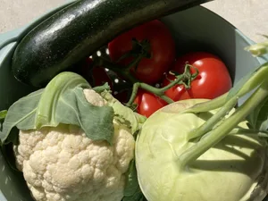 Um Food Waste nachhaltig zu reduzieren, sollten sich Konsumentinnen und Konsumenten längerfristig an etwas weniger perfektes Gemüse gewöhnen. Deren Akzeptanz dürfte sich als Knacknuss erweisen.