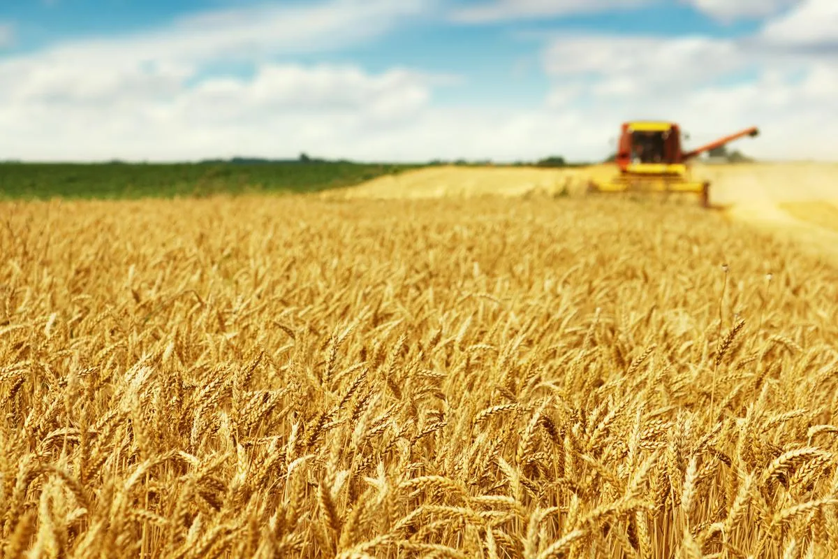 5baf6ee25008900e21b91def582cbc36e54059ff Landwirte müssen sich gegen Hautkrebs mit Sonnencrème und angepasster Kleidung schützen. Bild: Fotolia