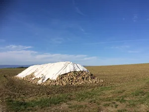 Die Klimagruppe fordert eine ausserordentliche Generalversammlung als Präsenz-Anlass, sodass alle Beteiligten ihre Stimme einbringen können. (Bild BauernZeitung/sjh)