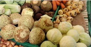 Die zollfreie Einfuhr von bestimmten Mengen gelte nur für bestimmte Gemüse und Kartoffeln und nur für Verkäufe auf Märkten.