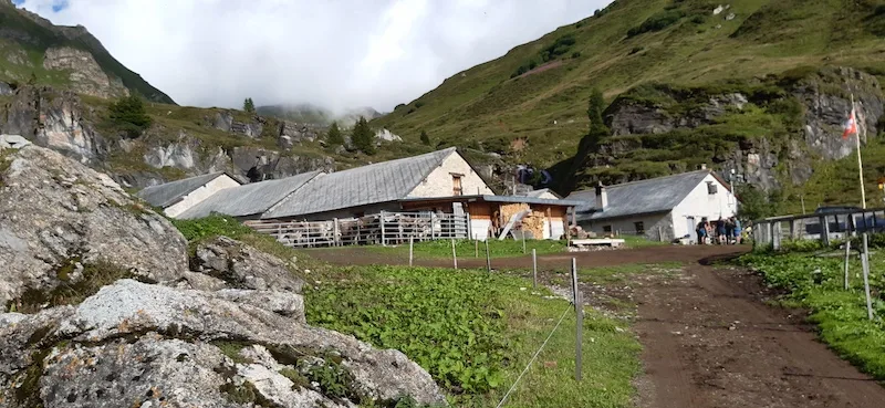 88e4ba71c3f410acd911ed6338f9b13edf47072d Die Alp Albin in Andeer GR liegt auf rund 2000 m ü. M. Zwischen 80 und 90 Kühe werden dort gesömmert und an einem Standort gemolken. (Bild Luzia Melchior)