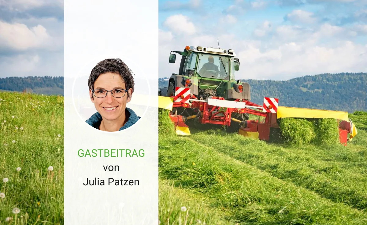 Artikel_Gastbeitrag_BauZ_PatzenMaeh Wenn das Gras hoch ist, wird es im Backoffice hektisch