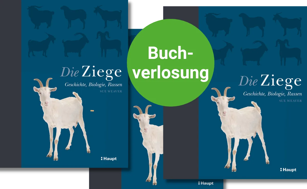 dg-buch-ziege Buchbesprechung: «Die Ziege – Geschichte, Biologie, Rassen» von Sue Weaver