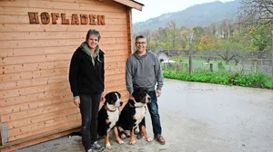 Karin und Philipp Hengartner sind vielseitig unterwegs. Die Zucht der Schweizer Sennenhunde, mit Rumba (links) und Jaron, erfordert viel Zeit. Das Paar sucht daher ein Allroundtalent, das im Haushalt und auf dem Hof mitanpackt.