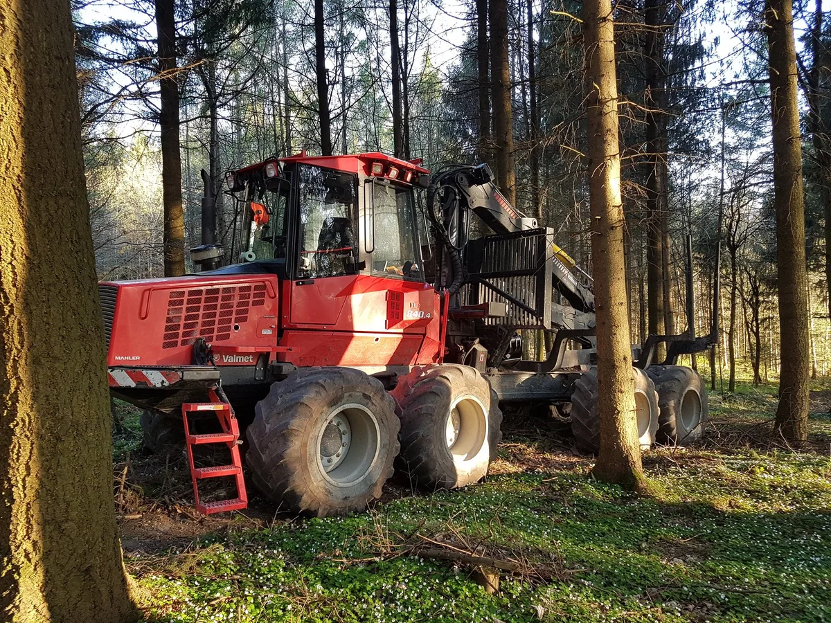 51955043947_d76862987d_k Das meiste Holz kommt aus Bern