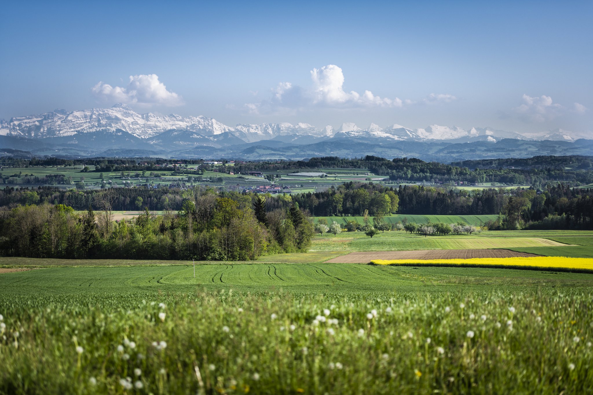 «Wir fordern ein Bekenntnis zu den notwendigen landwirtschaftlichen Flur- und Nebenstrassen»