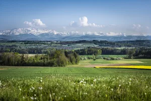 Blick von Mattwil in Richtung Säntis und Hessenreuti. Hier soll die Bodensee-Thurtalstrasse gebaut werden.
