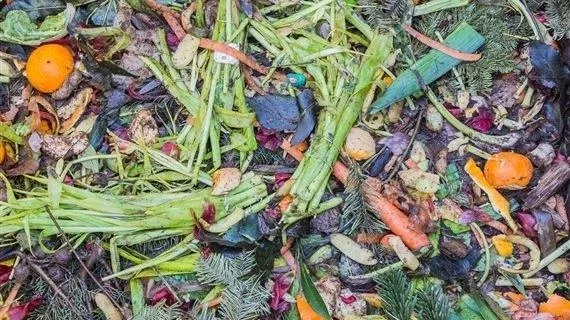9a612676ec1528c102db38c806e1d899edf41813 Lebensmittelverschwendung oder Food Waste ist ein gesellschaftliches Problem, über das seit einigen Jahren viel geschrieben wird. (Bild pd)