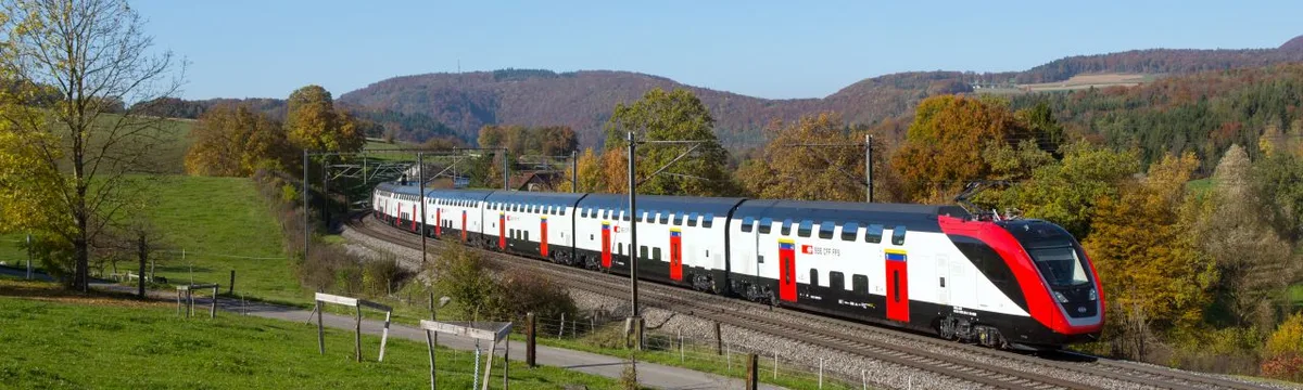 805aa1ab5e893a2f440b6c5da43f18de8f0ce185 Bei der Kollision zwischen einem Regionalzug und einer Viehherde starben in der Nähe von Lausanne sechs Rinder. (Symbolbild SBB)