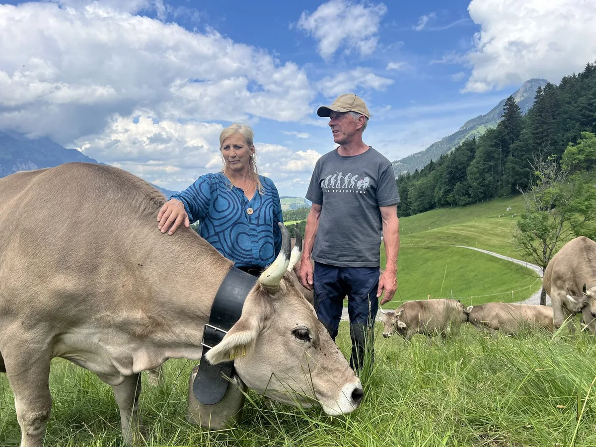 Milchproduktion in der Zentralschweiz: Drei Familien geben Einblick in ihre Vollkostenrechnung
