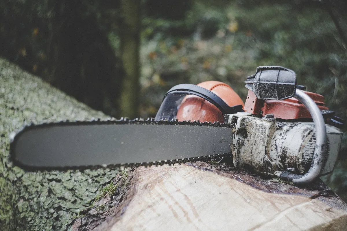 chainsaw-g61081282e_1920 Letztes Jahr gab es weniger tödliche Unfälle in der Landwirtschaft als sonst