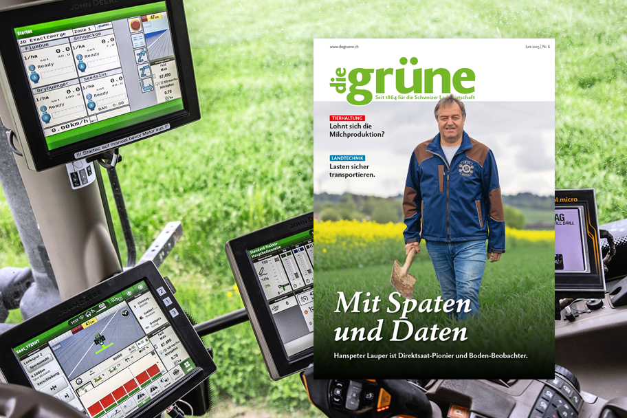 «die grüne» im Juni 2025 – Mit Spaten und Daten