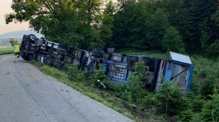 76a0aaee3975fd8e13a7be26885837e40db62f84 Der 29-Jährige Fahrer war mit dem Schweinetransporter auf der Schongauerstrasse in Richtung Fahrwangen unterwegs. (Bild Kapo AG)