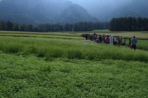 So sieht Vielfalt auf dem Bio-Acker aus: Am Feldtag wurden verschiedene Getreidesorten, Buchweizen, Lein, Linsen, Hirse, Quinoa und Hanf vorgestellt. (Bilder Stefanie Giger)