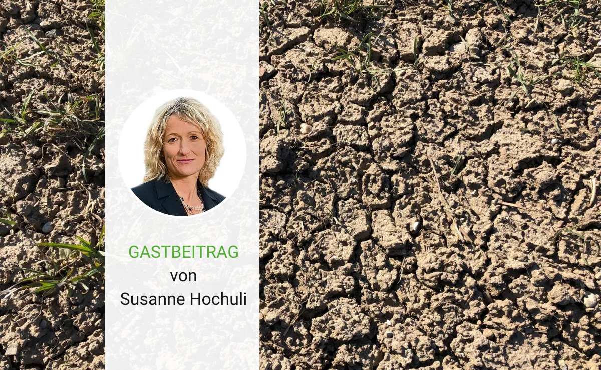 Artikel_Gastbeitrag_BauZ_HochuliWolfKW Wer ist schlimmer: Wolf oder Klimawandel?