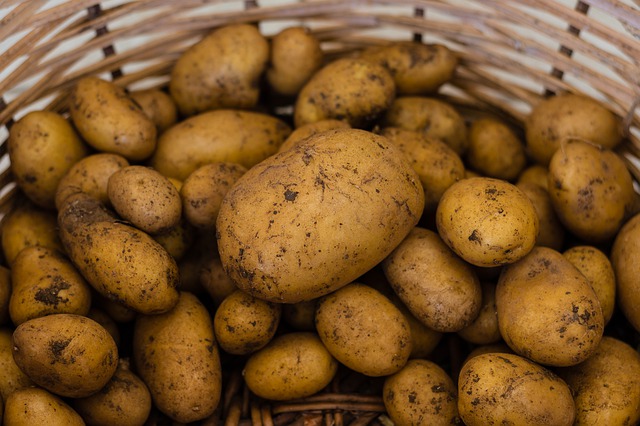 Wegen Nässe und Hitze: "Kartoffelpreise werden steigen"