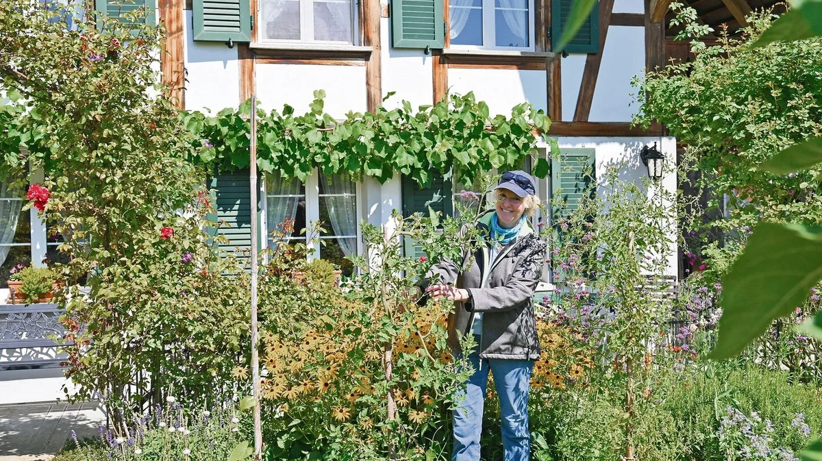 7cf7bed57f6c8238180baed0953c44fc2b0cf711bbe606e5256d2321d512f5f5 Sandra Flückiger freut sich, dass ihre beiden Tomatenstauden trotz garstigem Wetter ungeschützt so gut gelungen sind.