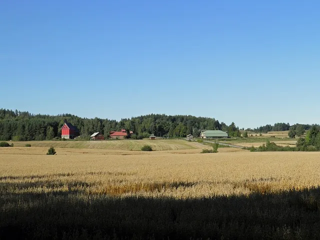 Trotz anziehender Exporte bleibt Finnlands Aussenhandelsbilanz 2019 höchstwahrscheinlich defizitär. (Bild Pixabay)