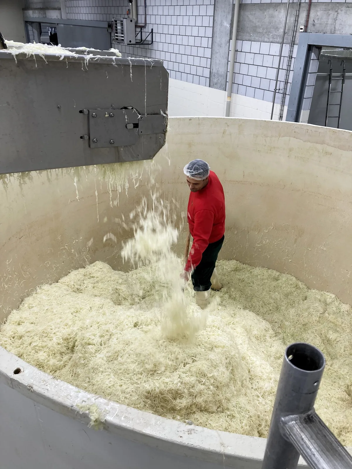 2023_sauerkraut_kohl-kabis-gemueseverarbeitung_schoeni-ag-oberbipp_03_rho Ein Hoch auf das Sauerkraut