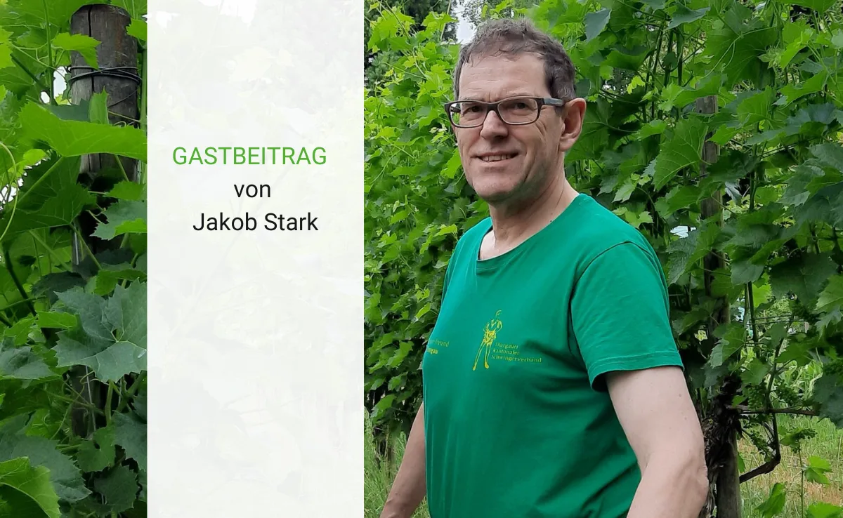 Artikel_Gastbeitrag_BauZ_Stark Die Wiederwahl ist eine Verpflichtung zum Engagement