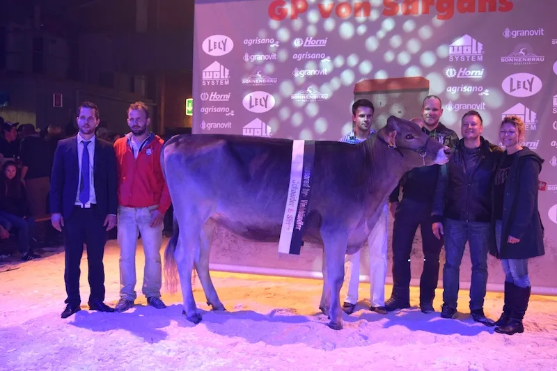 b882bb8d072bcbc2384878394e73c273f05a2290 GoldHill Salomon Blexy ist die 18. Champion in Sargans. (Bilder Stefanie Giger)