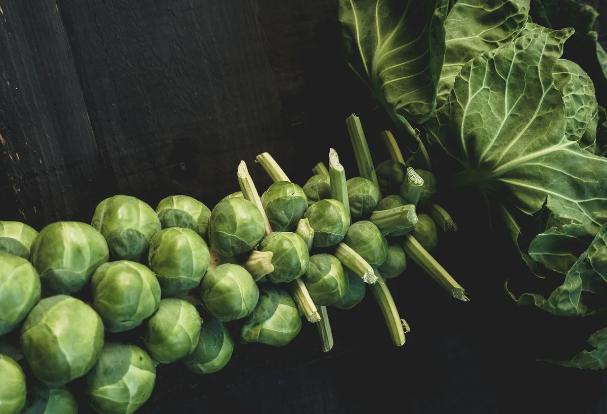 rosenkohl_unsplash Rosenkohl – der gesunde Gemüsezwerg