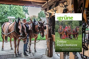 Vorschau Print-Ausgabe November 2022