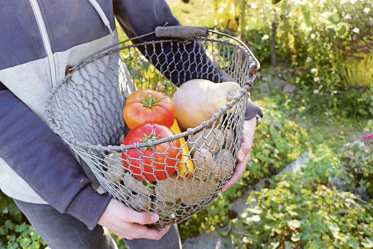 94f0017f074579be2534ea4cfc915e4ddebd543d1d013464180d5ab188f4c65c Produkte aus dem Bauerngarten und Naturallieferungen vom Betrieb an den Haushalt senken die Kosten für Lebensmittelzukäufe und können die Teuerung so etwas abfedern.