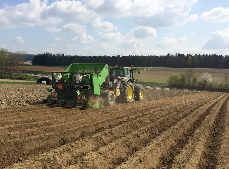 6ae1c5efb4f9b2eb995b1ecac7fd5ec90310d623 Swisspatat betont, Kartoffelproduzenten müssten ihren Anbau an den Abnehmer-Verträgen ausrichten. Besonders angesichts der vollen Lager mit Tiefkühl-Pommes-Frites. (Bild David Perler, Inforama Zollikofen)