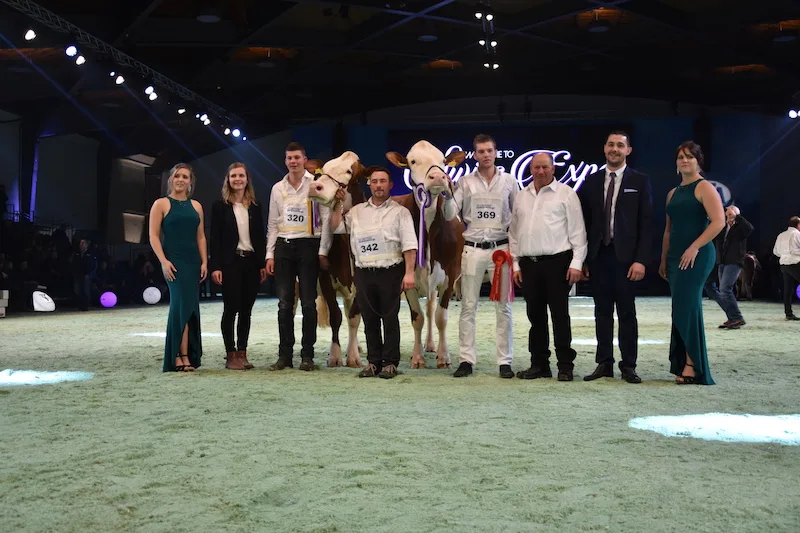e425a62e827fc2b826174489fc628df6e21449d3 Grande Championne wurde Gedeon Gitane (rechts) von Michel Chaubert aus Puidoux VD. Den Reserve-Titel holte sich Praz-Tecot Cargo Californie von Pierre Guignard aus Rances VD.