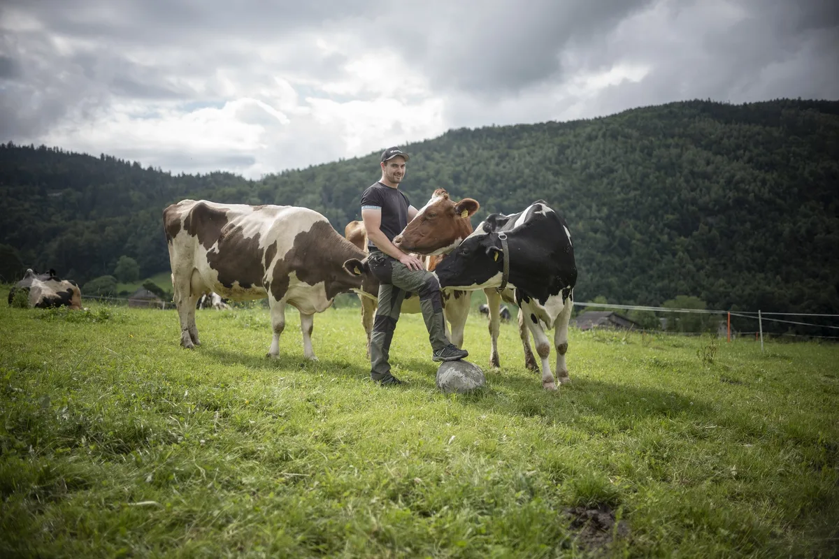 Der Champ mit dem Chemp: Landwirt Remo Schuler will die dritte Steinstösser-Krone
