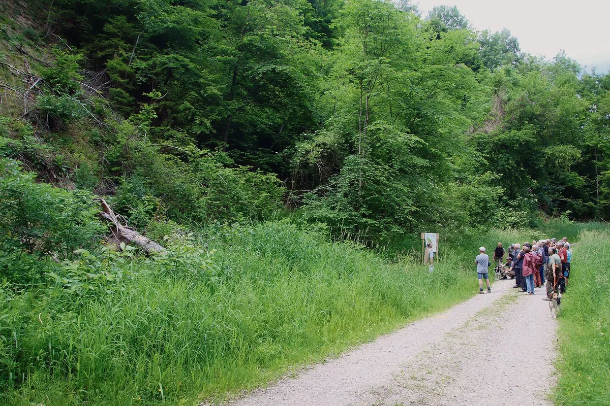 ee82f8d651fc6311f2d362504bb174047f2a30496ee8d94b4b756f8e04a5c399 In 20 Jahren hat sich im Wald viel verändert