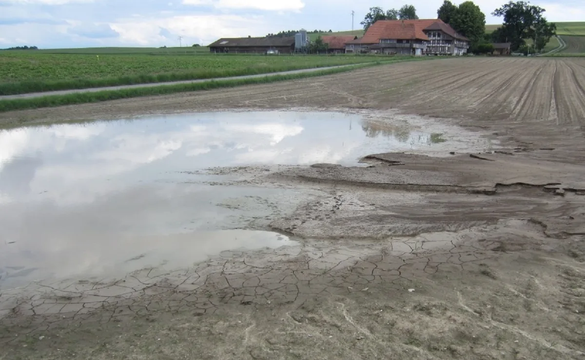 Auf 10 Prozent der Schweizer Ackerfläche sollte gegen Erosion gehandelt werden