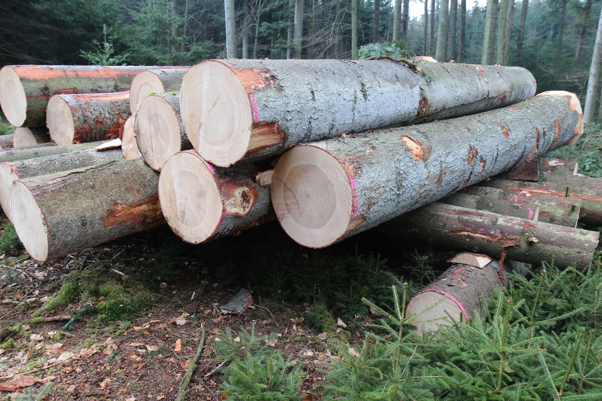 220426-parl_initiative_fa__ssler-rohholzpreis-waldschweiz-komp Künftig gibt es Preisempfehlungen für Schweizer Rohholz