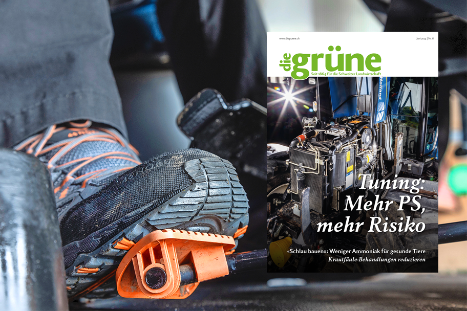 «die grüne» im Juni 2024 – Mehr PS und mehr Risiko durch Tuning