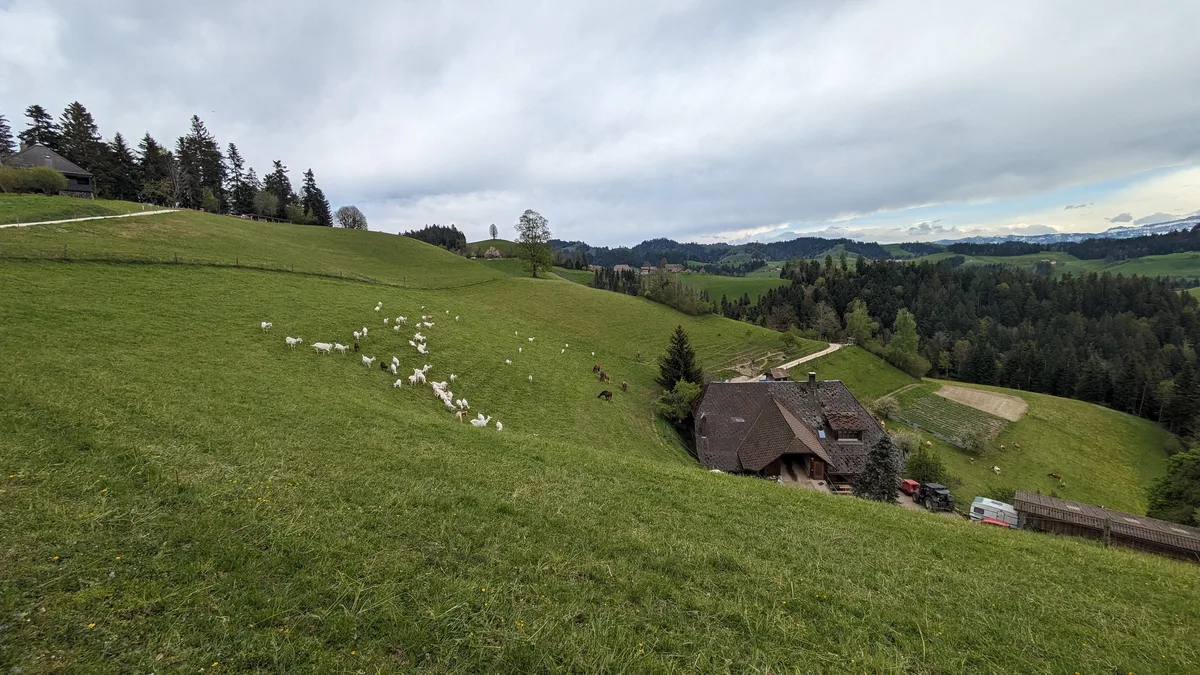 Betrieb_mit_Hanglage Wie gehe ich mit Weideresten um?
