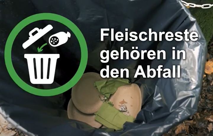 Ein neues BLV-Video zeigt das richtige Verhalten nach einem Wald-Picknick. (Screenshot blv.admin.ch)