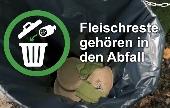 ee20fb012e5ad760116f7c9906ae79ad9b9224ec Ein neues BLV-Video zeigt das richtige Verhalten nach einem Wald-Picknick. (Screenshot blv.admin.ch)
