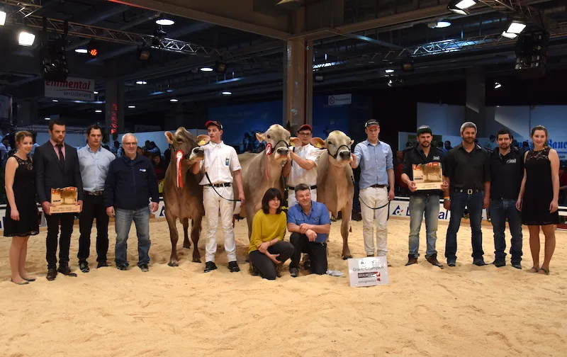 a92cf5b3f8e761d64c3c8dfc19c6f48c1e8e6a44 Grand-Champion (mitte) Joker Ella von Philipp Zweifel aus Linthal GL, Vize (links) Salomon Siera von Ludwig Noggler aus Sent GR und die Mention Honorable Alino Quitte, Christian Fischler und Kaspar Hoffmann. (Bilder jba)