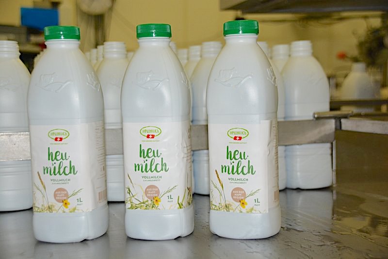 Heumilch-Produzenten dürfen neu Kartoffeln verfüttern