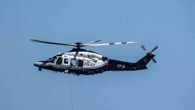 ea3d86b7dff450abfd66567ceed9fd6ea153df7e Die Gendarmerie spürt im Hubschrauber mit Wärmebildkameras Wildschweine auf. (Bild Pixabay)