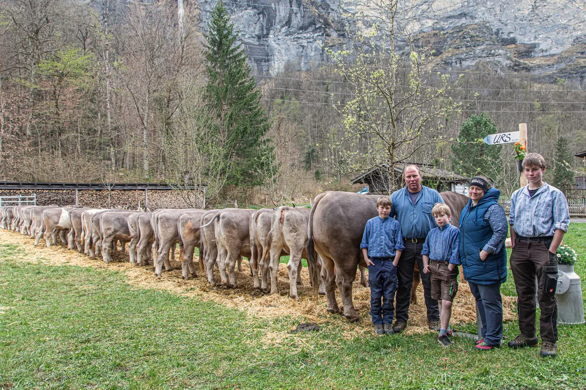 Bild_1_HPR_Bern. Berner Original-Braunvieh-Züchter präsentieren ihre Natursprung-Genetik