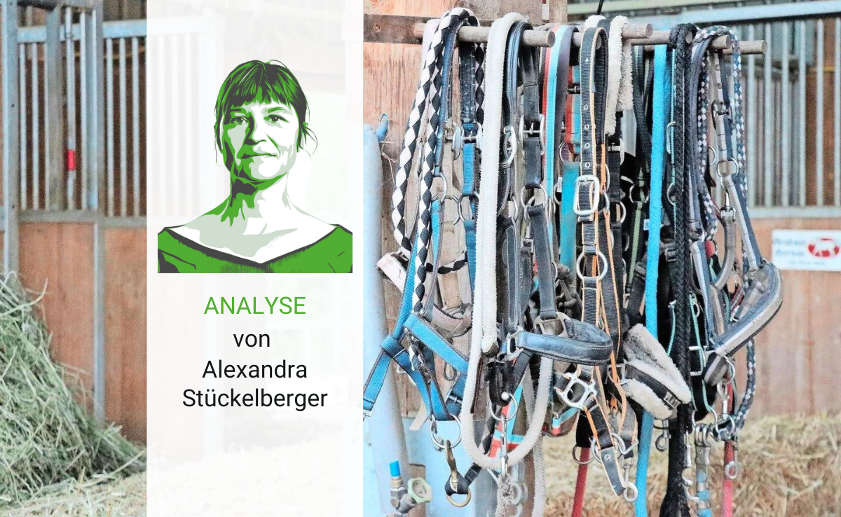 Analyse: Im Pferdestall steckt viel Mensch drin