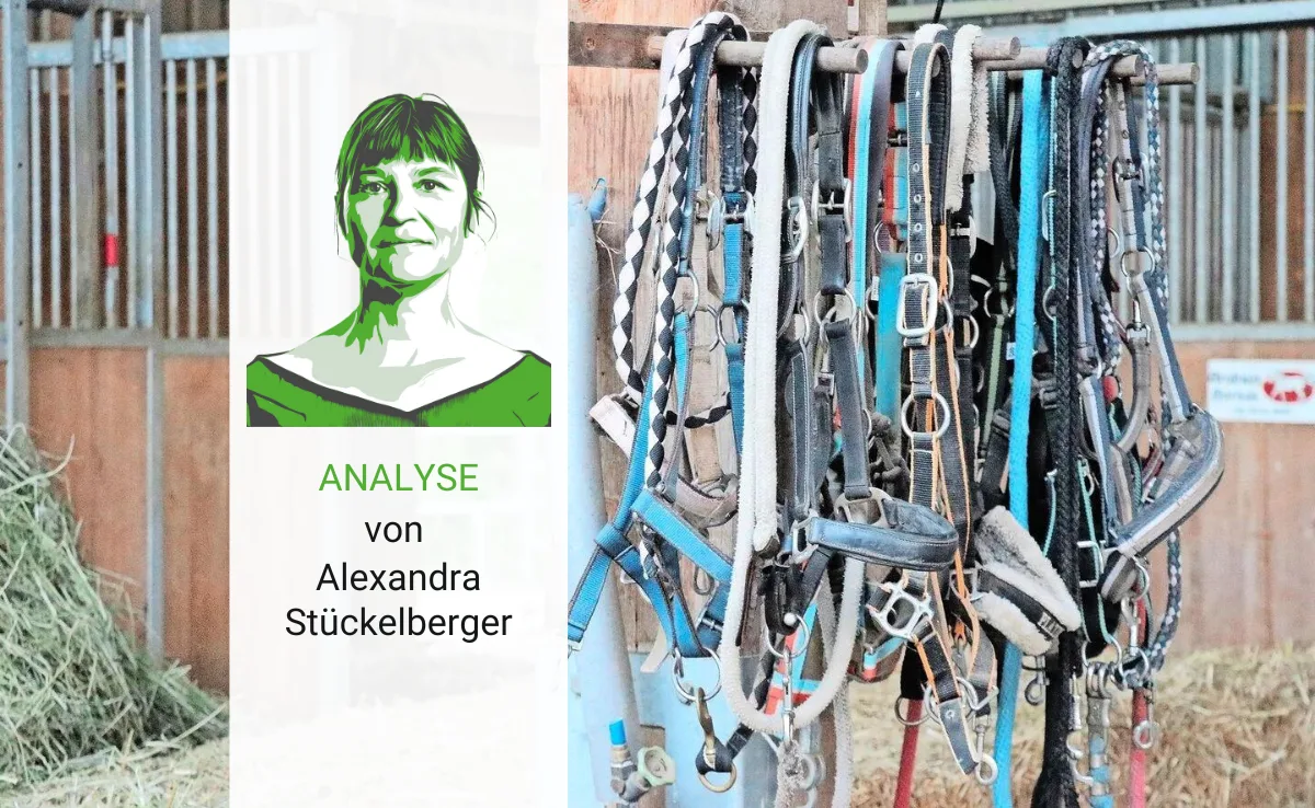 Artikel_Analyse_BauZAlexPferd Analyse: Im Pferdestall steckt viel Mensch drin
