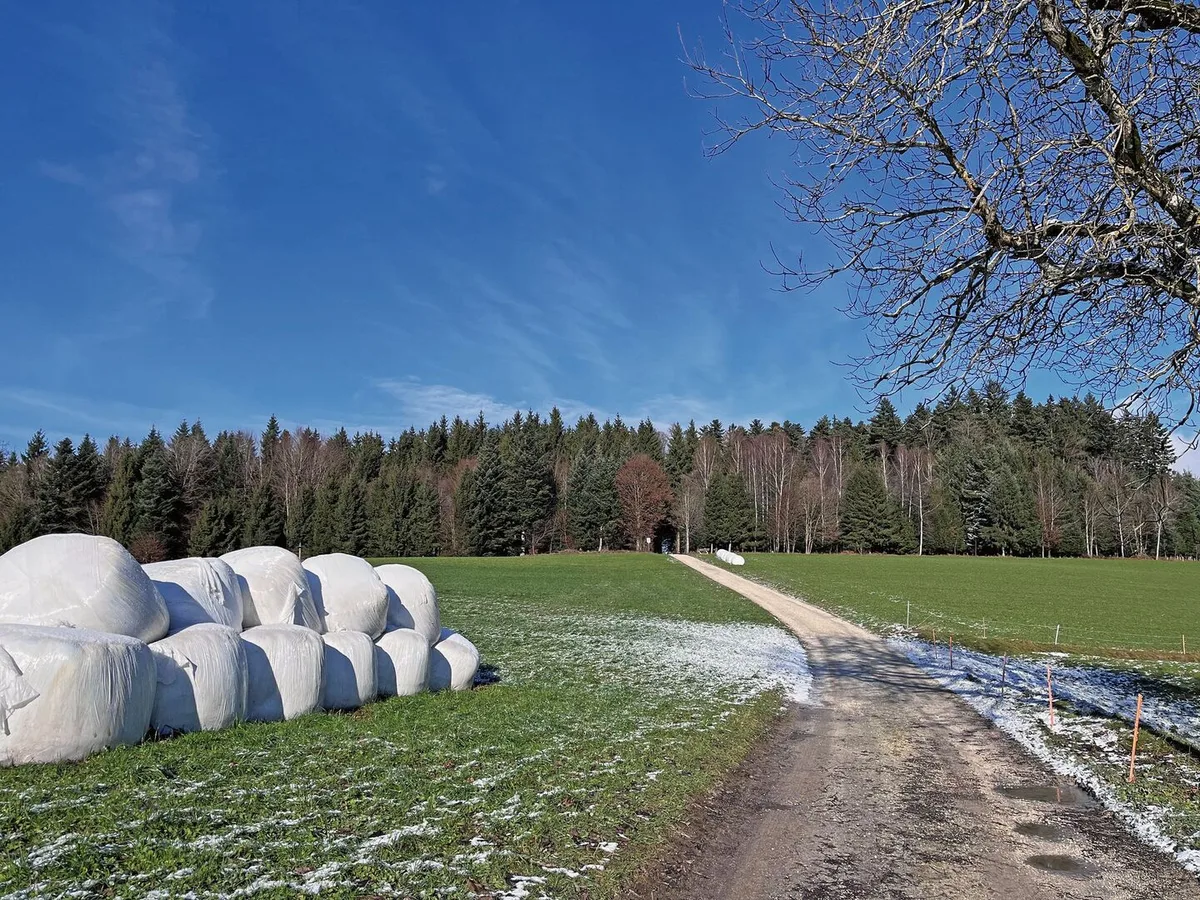 b4db7b885cc7079f5926d0fbe2d0dfaa4e60f99a1459d61053b5929a3e0e4233 Nur ein Drittel aller Siloballenfolien in der Schweiz wird wiederverwertet. Das System ERDE Schweiz will nächstes Jahr das Netz der Sammelstellen weiter ausbauen.