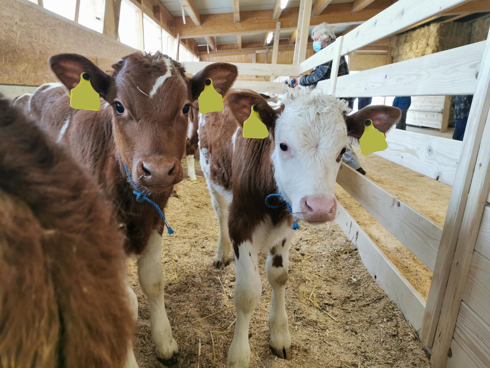 Veränderungen zwingen zur Überarbeitung der Tränkerpreise