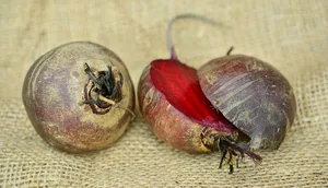 Wenn der November wieder mal neblig und trüb daherkommt, zaubert die Rande knallige Farben auf den Teller. (Bild Pixabay)