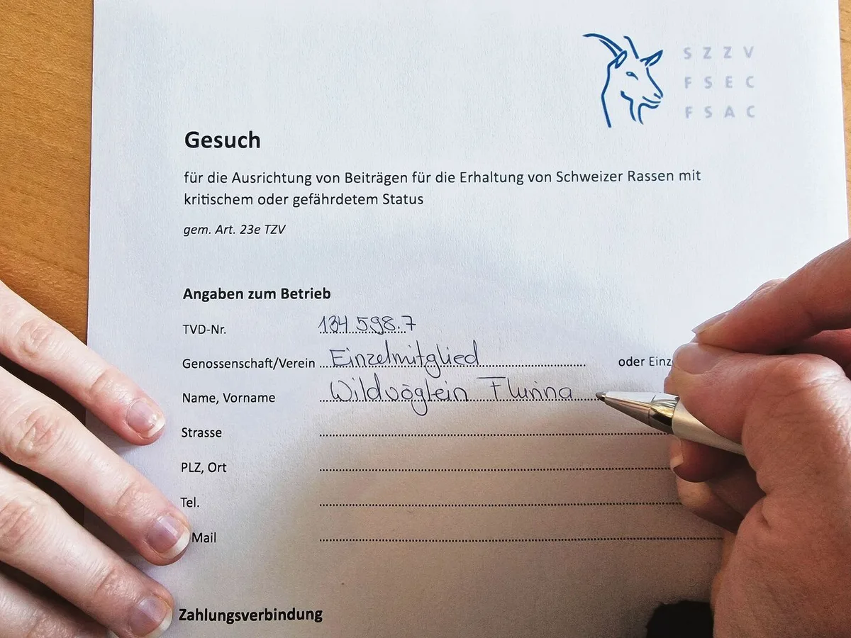 Der Ziegenzuchtverband hat vorbildlich gehandelt und ein Anmeldeformular für Erhaltungsbeiträge auf die eigene Internetseite gestellt.