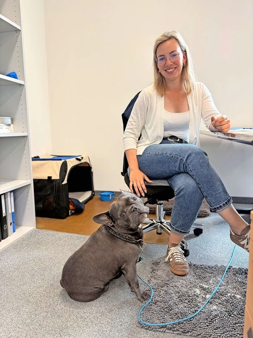 e3636a86c5b5d9f1a121b1617135ac6b15685a2faaace3767c18ee4795941e8f Hund Oskar darf mit ins Büro zu Mutterkuh Schweiz.